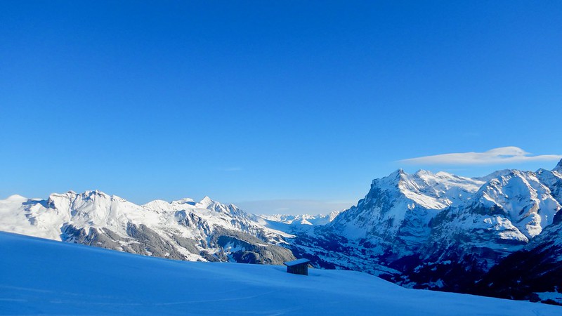 Skiën in Wengen